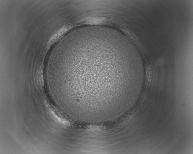 X0000078020682200611031456