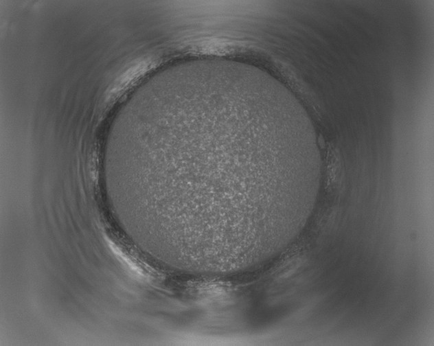 X0000078020683200611031456