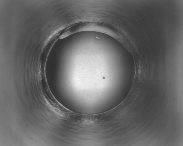 X0000078020684200611031456