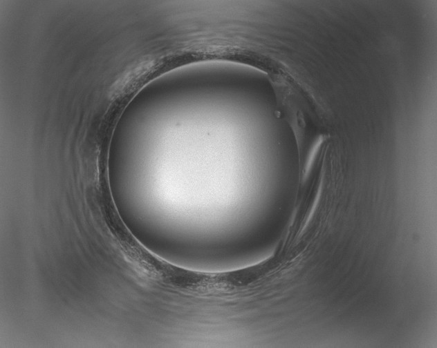 X0000078020685200611031456