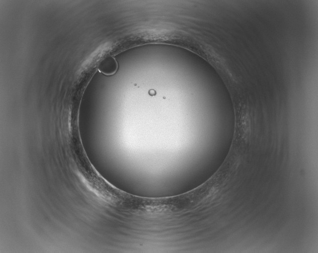 X0000078020686200611031456