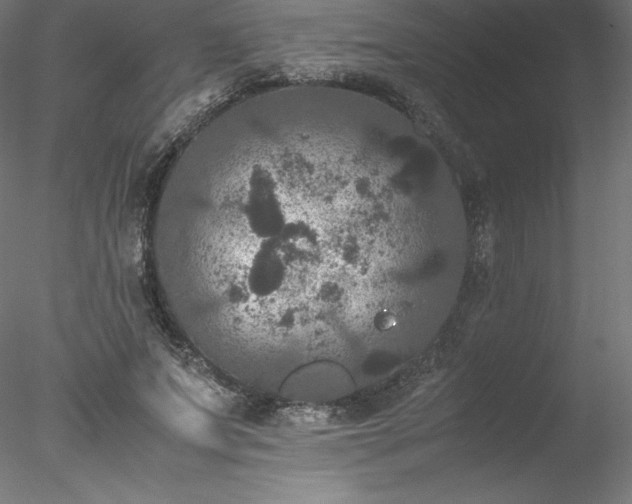 X0000078020687200611031456