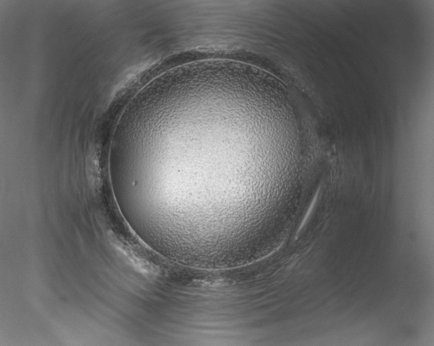 X0000078020688200611031456