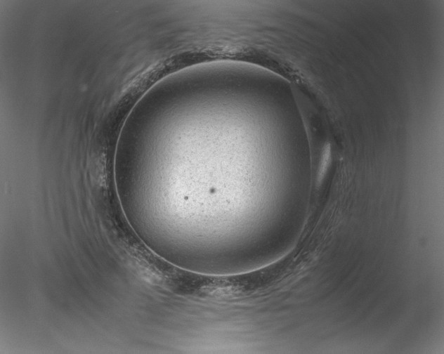 X0000078020689200611031456