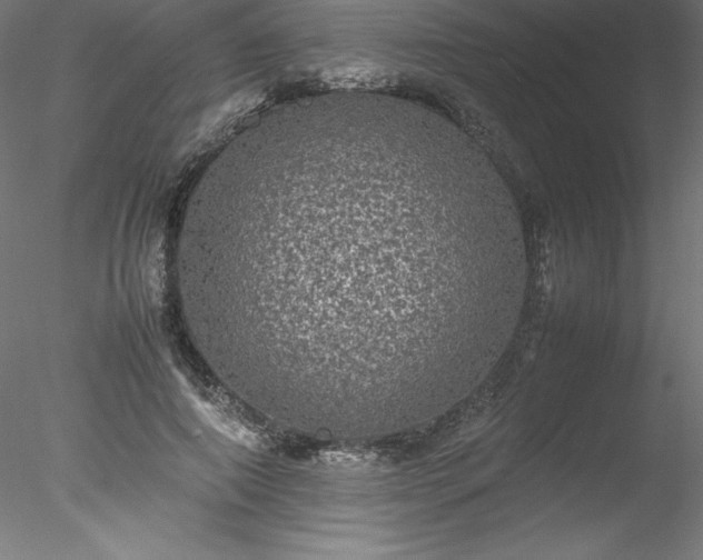 X0000078020690200611031456