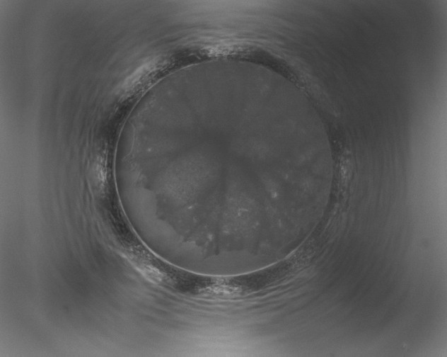 X0000078020691200611031456