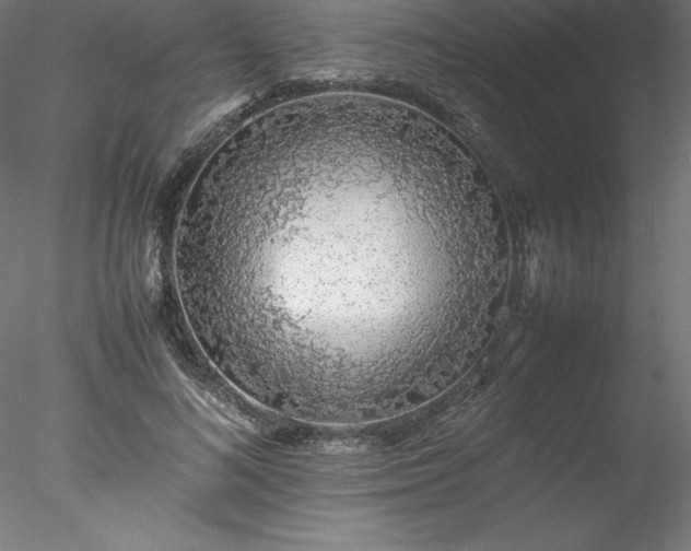 X0000078020692200611031456