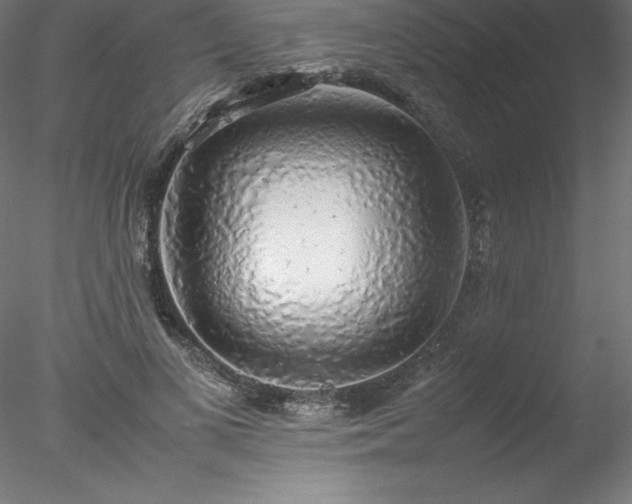 X0000078020693200611031456