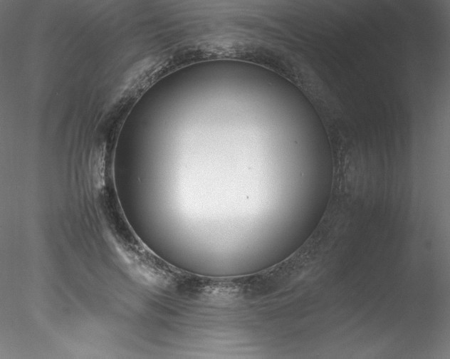 X0000078020694200611031456