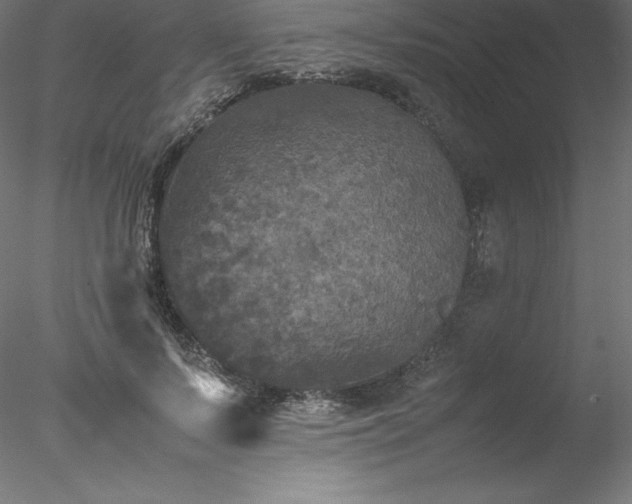 X0000078020695200611031456