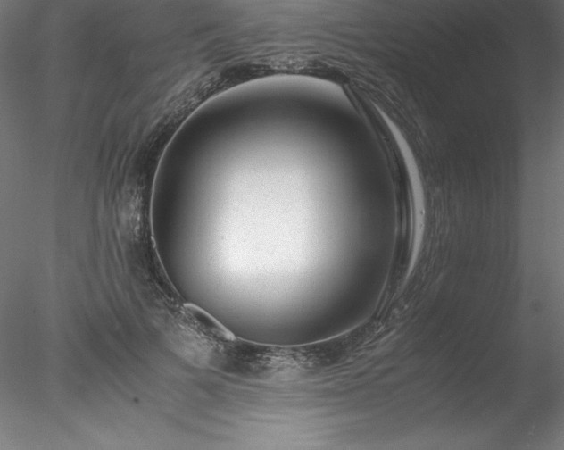 X0000078020697200611031456