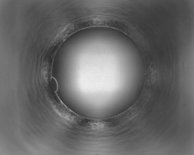 X0000078020698200611031456