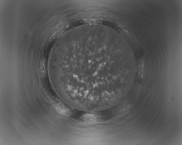 X0000078020699200611031456