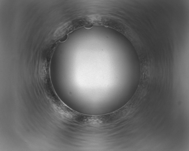 X0000078020702200611031456