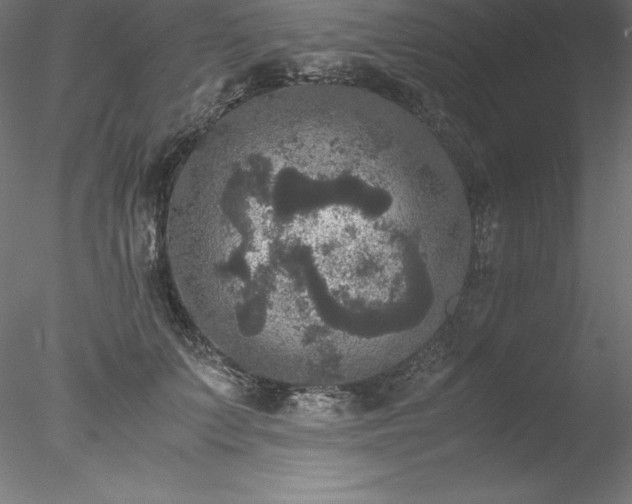 X0000078020703200611031456