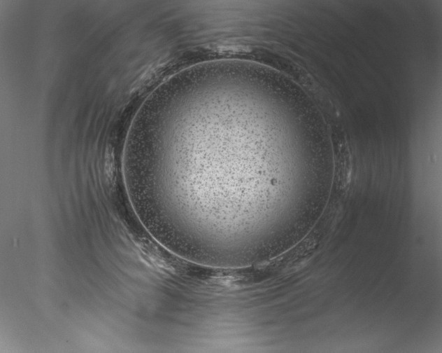 X0000078020704200611031456