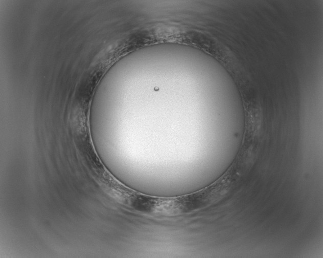 X0000078020705200611031456