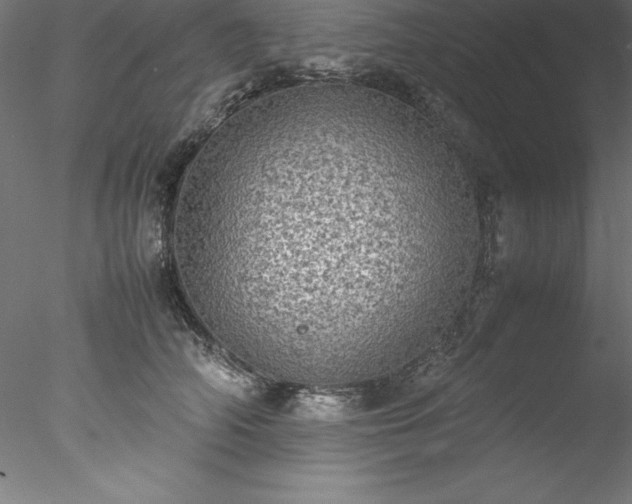 X0000078020706200611031456