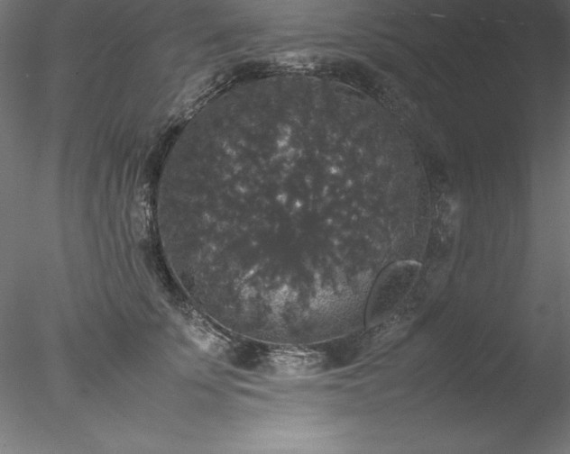 X0000078020707200611031456