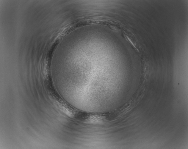 X0000078020708200611031456