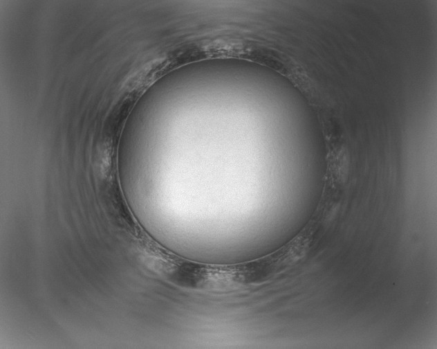 X0000078020709200611031456