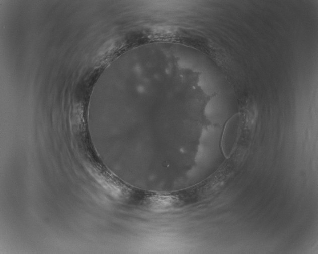 X0000078020711200611031456