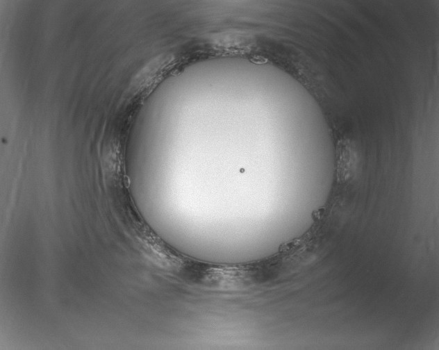 X0000078020713200611031456