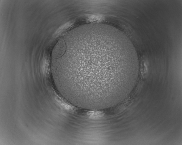 X0000078020714200611031456