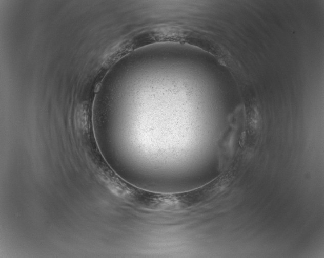 X0000078020715200611031456