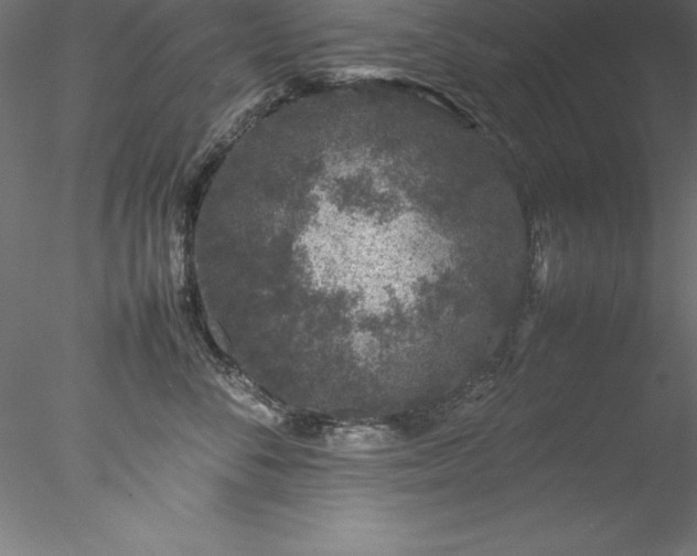 X0000078020716200611031456