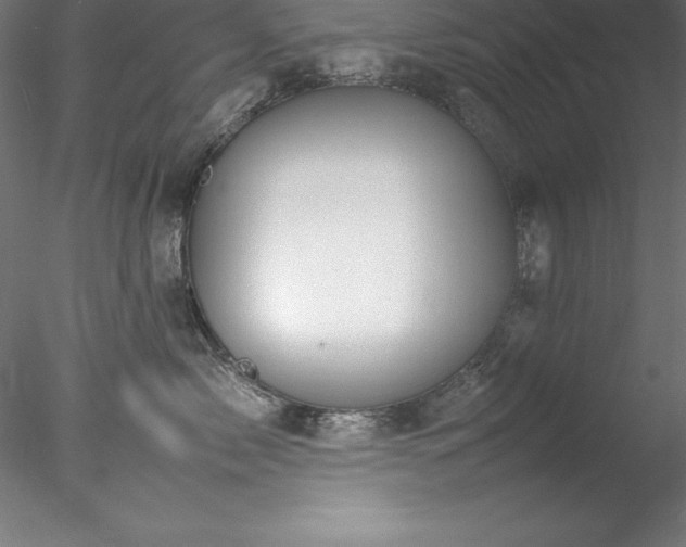 X0000078020717200611031456