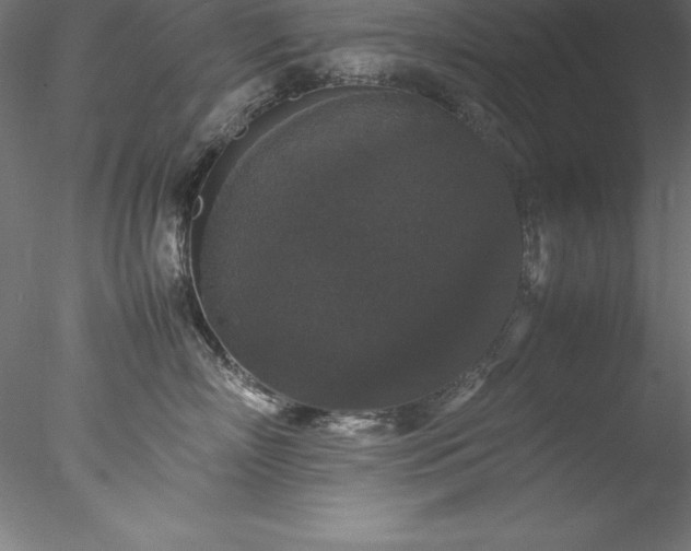 X0000078020718200611031456