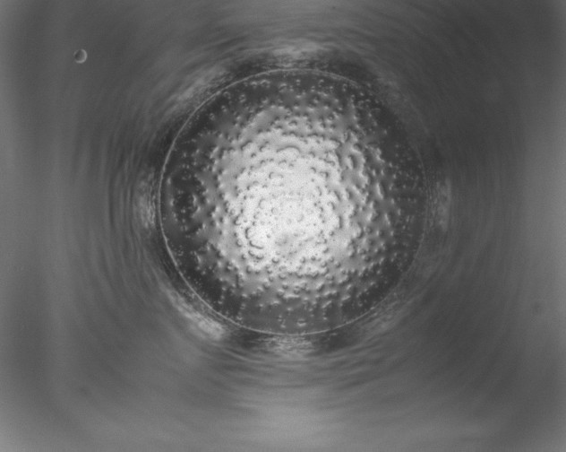 X0000078020719200611031456