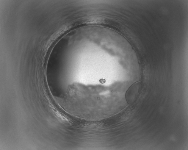 X0000078020721200611031455