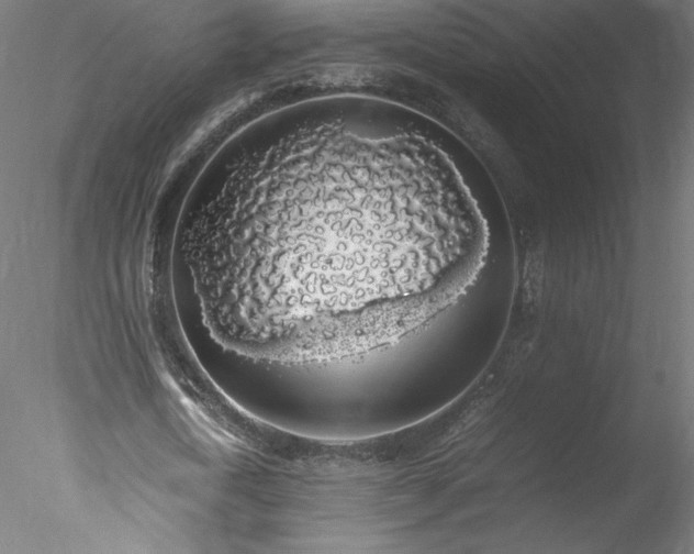 X0000078020722200611031455