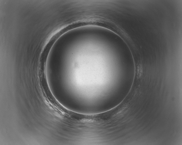 X0000078020724200611031455