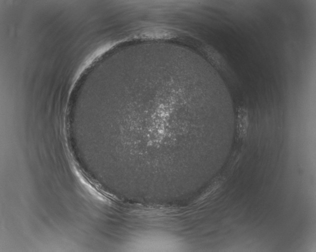 X0000078020726200611031455