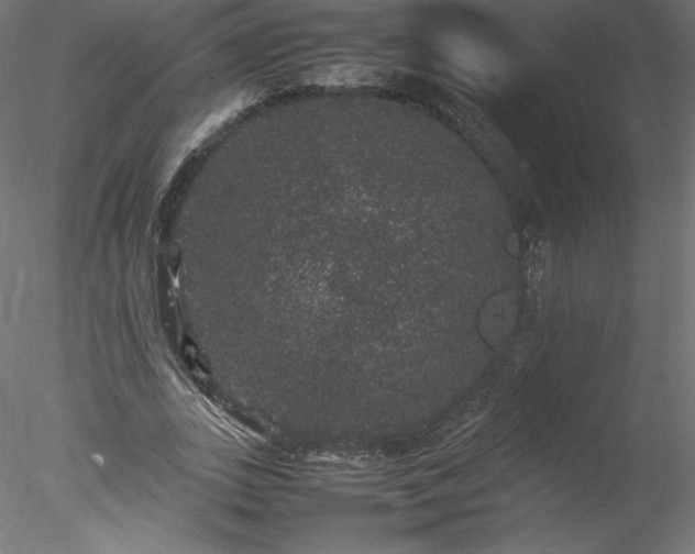 X0000078020727200611031455