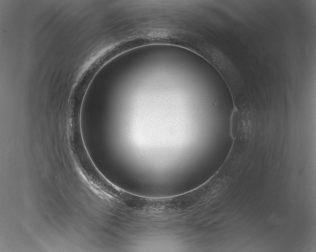 X0000078020728200611031455