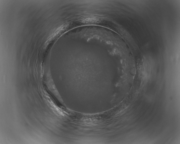 X0000078020729200611031455