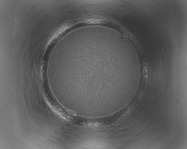 X0000078020730200611031455