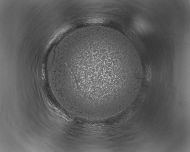 X0000078020731200611031455