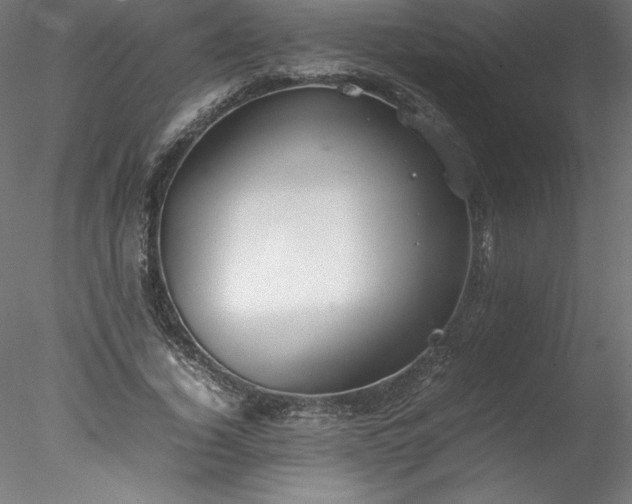 X0000078020732200611031455