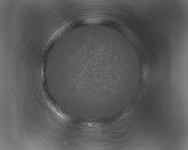 X0000078020733200611031455