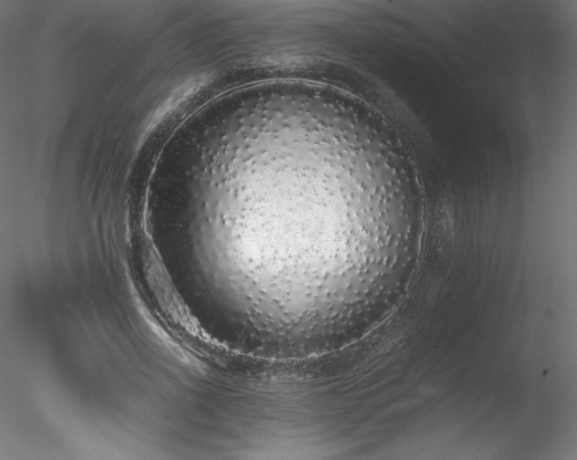 X0000078020734200611031455