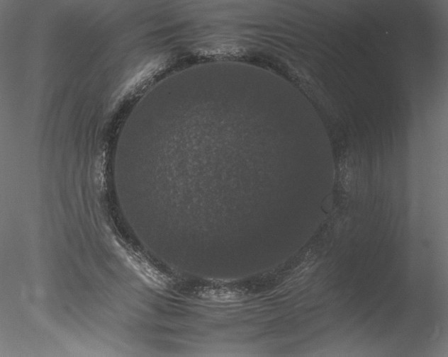 X0000078020735200611031455