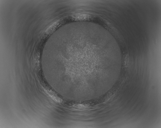 X0000078020737200611031455