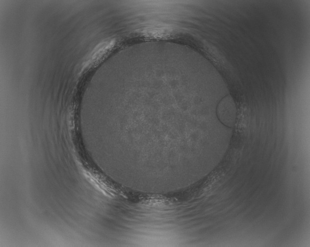 X0000078020738200611031455