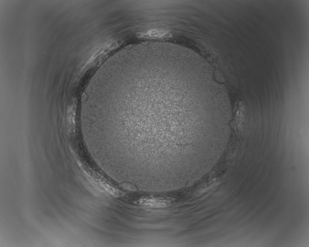 X0000078020739200611031455