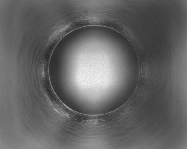 X0000078020740200611031455